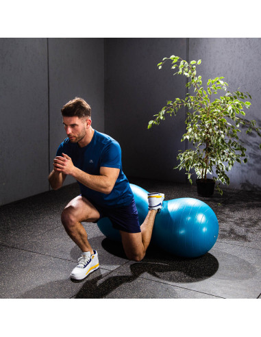 СИНЯ ГИМНАСТИЧЕСКА ТОПКА ФЪСТЪК HMS