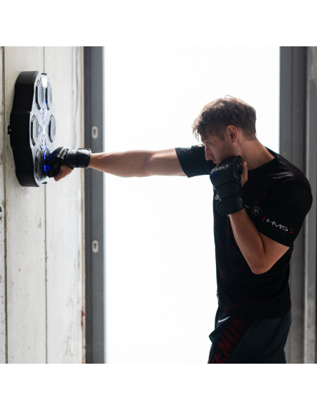 ЕЛЕКТРОНЕН БОКС СТЕНА BLUETOOTH С МУЗИКА И РЪКАВИЦИ HMS