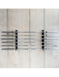 СТОНЖА ЗА СТЕНА ЗА ОЛИМПИЙСКИ ЩАНГИ COMMERCIAL HMS 2