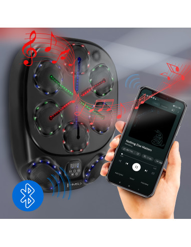 ЕЛЕКТРОНЕН БОКС СТЕНА BLUETOOTH С МУЗИКА, РЪКАВИЦИ И 4000MAH БАТЕРИЯ HMS