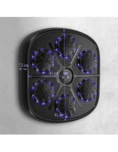 ЕЛЕКТРОНЕН БОКС СТЕНА BLUETOOTH С МУЗИКА И РЪКАВИЦИ HMS 2
