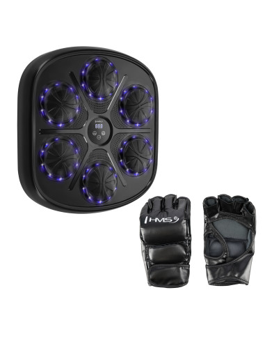 ЕЛЕКТРОНЕН БОКС СТЕНА BLUETOOTH С МУЗИКА И РЪКАВИЦИ HMS