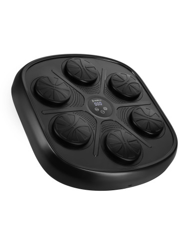 ЕЛЕКТРОНЕН БОКС СТЕНА BLUETOOTH С МУЗИКА И РЪКАВИЦИ HMS