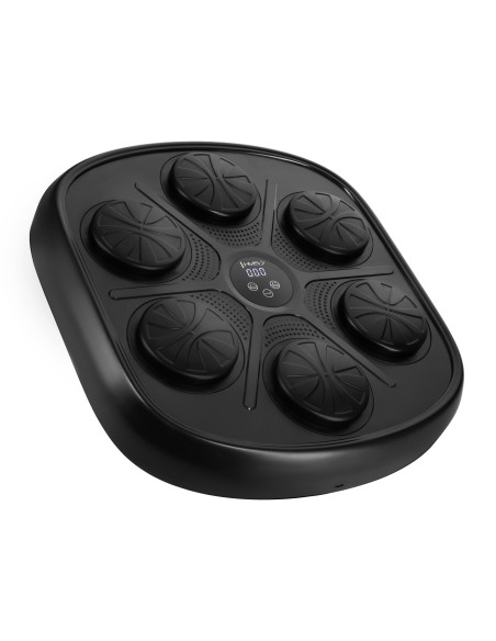 ЕЛЕКТРОНЕН БОКС СТЕНА BLUETOOTH С МУЗИКА И РЪКАВИЦИ HMS