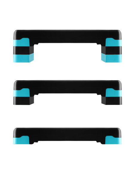 BLACK/MINT AEROBIC STEP HMS