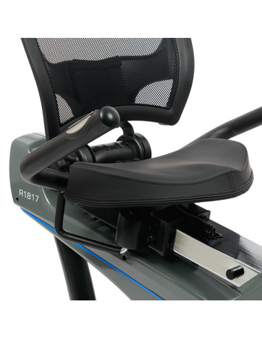 УПРАЖНЕНИЕ В ЛЕГ С ГЕНЕРАТОР HMS PREMIUM