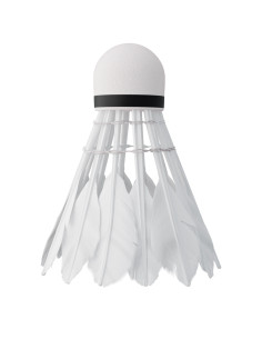 6 топки от пера, Нилс