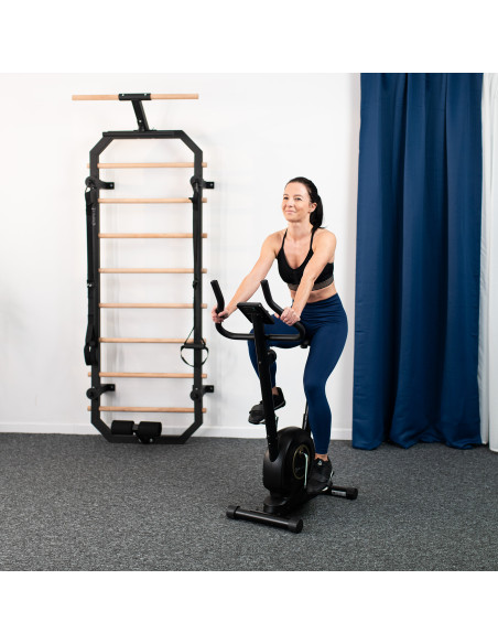 МАГНИТЕН ДОМАШЕН ТРЕНЬОР ЧЕРЕН HMS