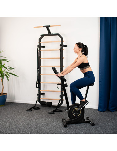 МАГНИТЕН ДОМАШЕН ТРЕНЬОР ЧЕРЕН HMS