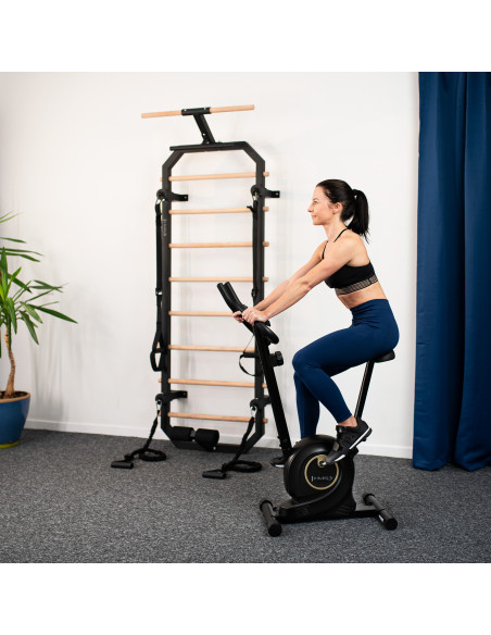 МАГНИТЕН ДОМАШЕН ТРЕНЬОР ЧЕРЕН HMS