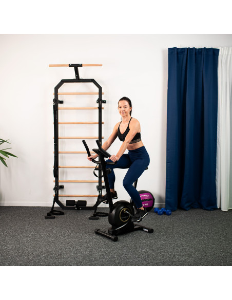 МАГНИТЕН ДОМАШЕН ТРЕНЬОР ЧЕРЕН HMS