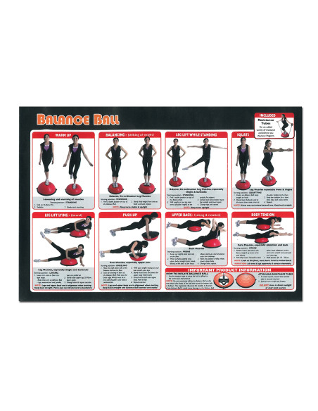 PRO BLACK BALANCE BALL HMS PREMIUM