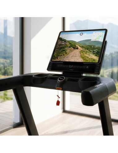 ДОМАШНА БЯГАЩА ПЪТЕКА С ФУНКЦИЯ ЗА НАКЛОН И СПУСКАНЕ HMS