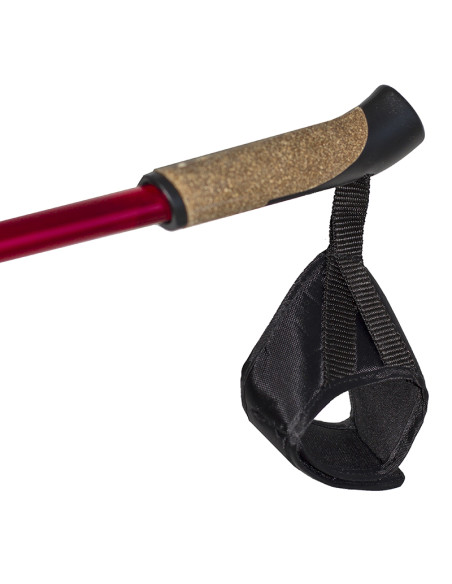 ЩОКИ ЗА СЕВЕРНО ХОДЕНЕ NILS