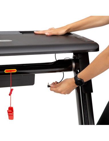 БЮРО ЗА БЯГАЩА ПЪТЕКА ЗА МОДЕЛА LOOP12 HMS