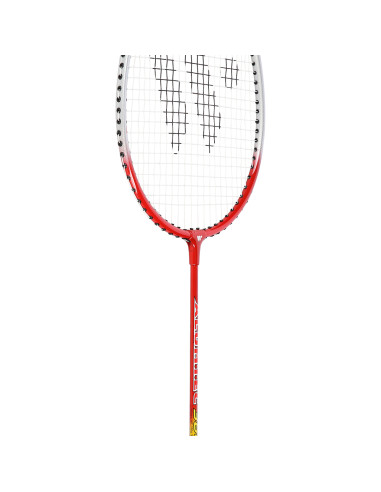 366K КОМПЛЕКТ С ХИЛКИ ЗА БАДМИНТОН WISH