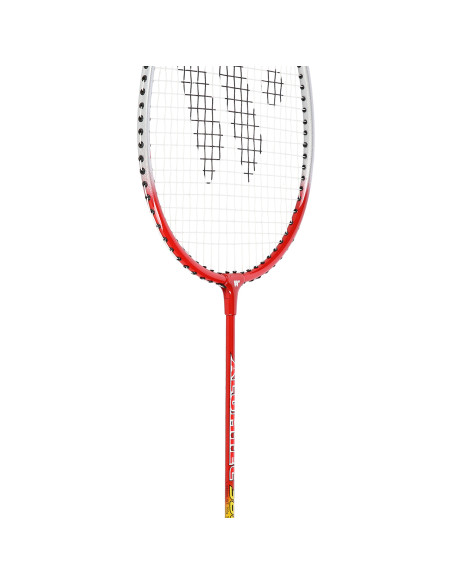 366K КОМПЛЕКТ С ХИЛКИ ЗА БАДМИНТОН WISH