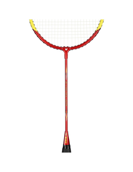 329K КОМПЛЕКТ С ХИЛКИ ЗА БАДМИНТОН WISH