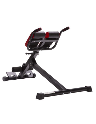 ТРЕНАЖОР ЗА ГЪРБ HMS