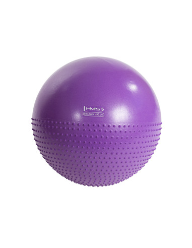 55СМ ВИОЛЕТА ГИМНАСТИЧЕСКА ТОПКА С МАСАЖНИ НОБИ HMS